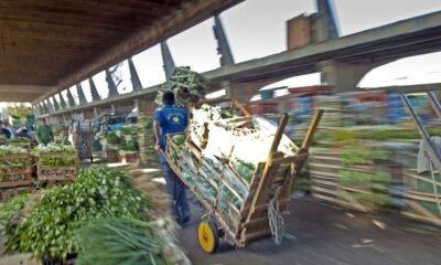 Ceagesp, uma cidade que alimenta o Brasil