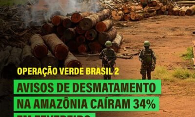 Desmatamento na Amazônia cai 34% em fevereiro