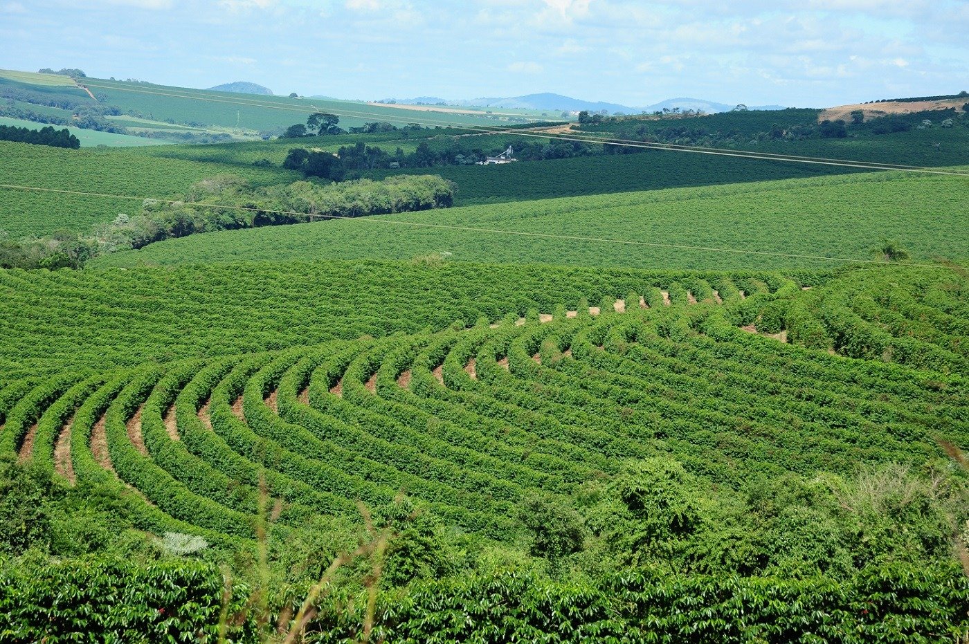 Minas registra saldo positivo no PIB do Agronegócio de 2020