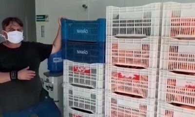 Solidariedade na pandemia: produtor doa meia tonelada de legumes ao Banco de Alimentos