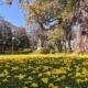 Poços de Caldas sobe 7 pontos na tabela do ICMS Patrimônio Cultural