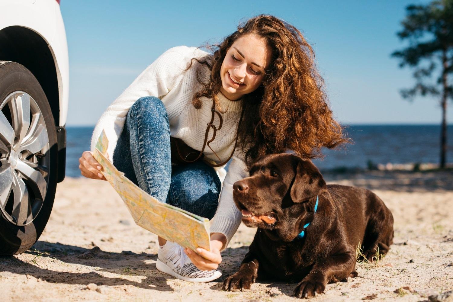 Férias de inverno: conheça as melhores práticas para garantir uma viagem tranquila com seu pet