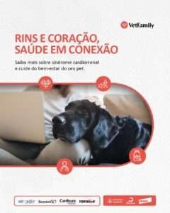 síndrome cardiorrenal em cães e gatos