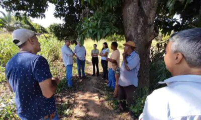 Agricultores indígenas