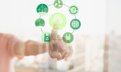 Seguro ambiental ajuda empresa a lidar com riscos ecológicos