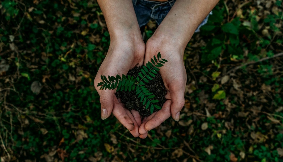Jornada de Inovação Bancorbrás Social premia iniciativas de turismo sustentável
