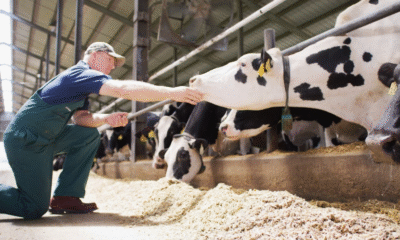 Elanco supera expectativas no 1º trimestre de 2025