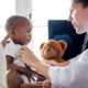 Atendimento humanizado é foco da Clinipae