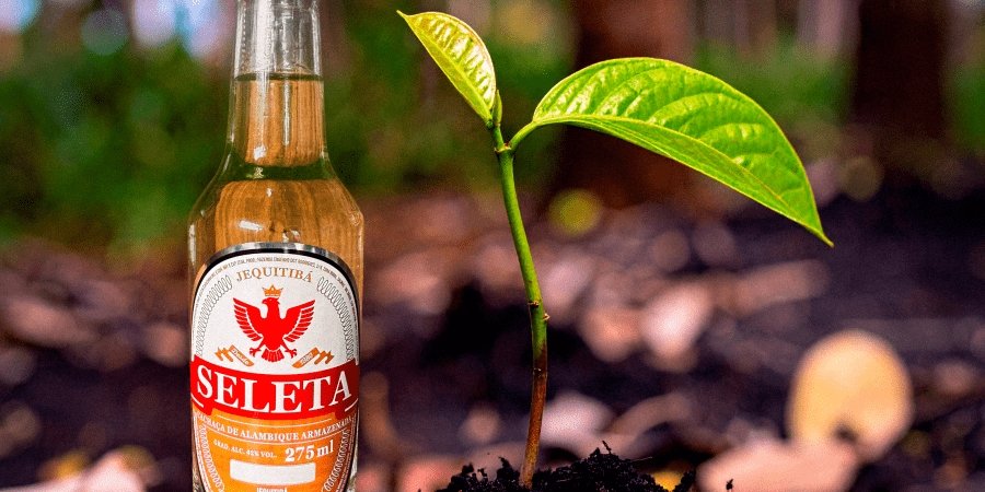 Marca mineira lança cachaça